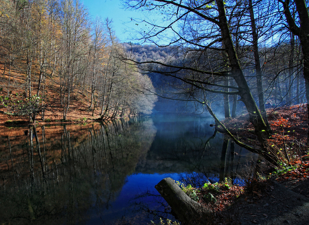 Landscape (Bolu ,TURKEY)